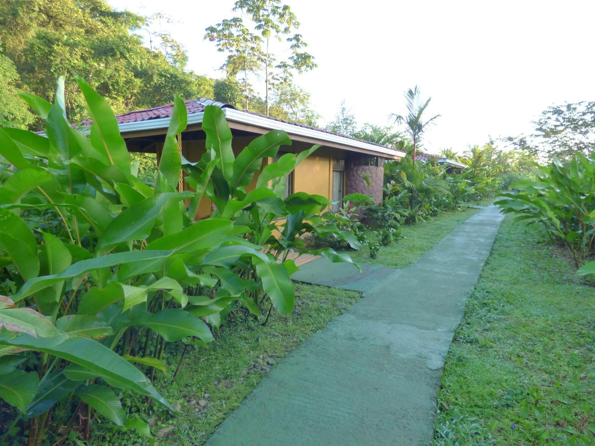 Hotel Catarata Rio Celeste Bijagua Ngoại thất bức ảnh