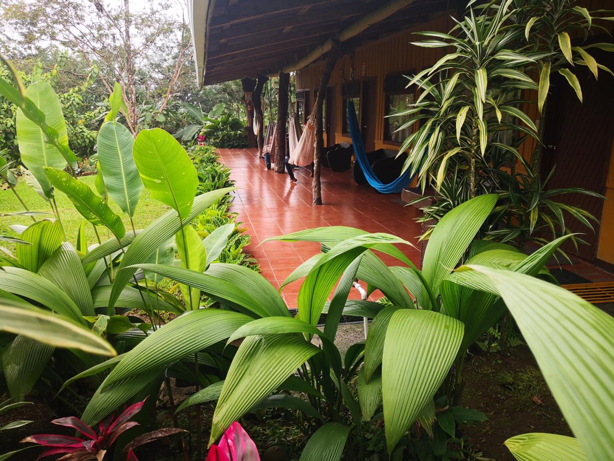 Hotel Catarata Rio Celeste Bijagua Ngoại thất bức ảnh